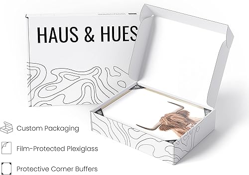 Miniatura 4 de HAUS AND HUES Arte de pared de vaca de las tierras altas, estampado de vaca de las tierras altas y arte de pared de toro, decoración de pared de