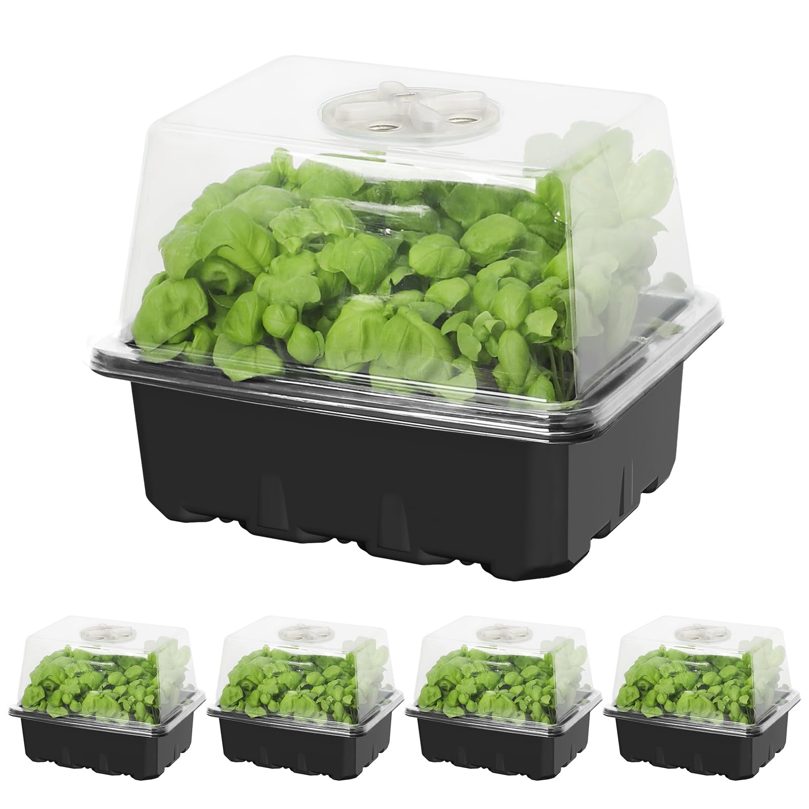 MIXC 10 Set Seedling Trays Seed Starter Kit, 60 Large Cells Mini Propagator Plant Grow Kit with Humidity Vented Domes and Base for Seeds Starting Greenhouse (6 Cells per Tray)-Black