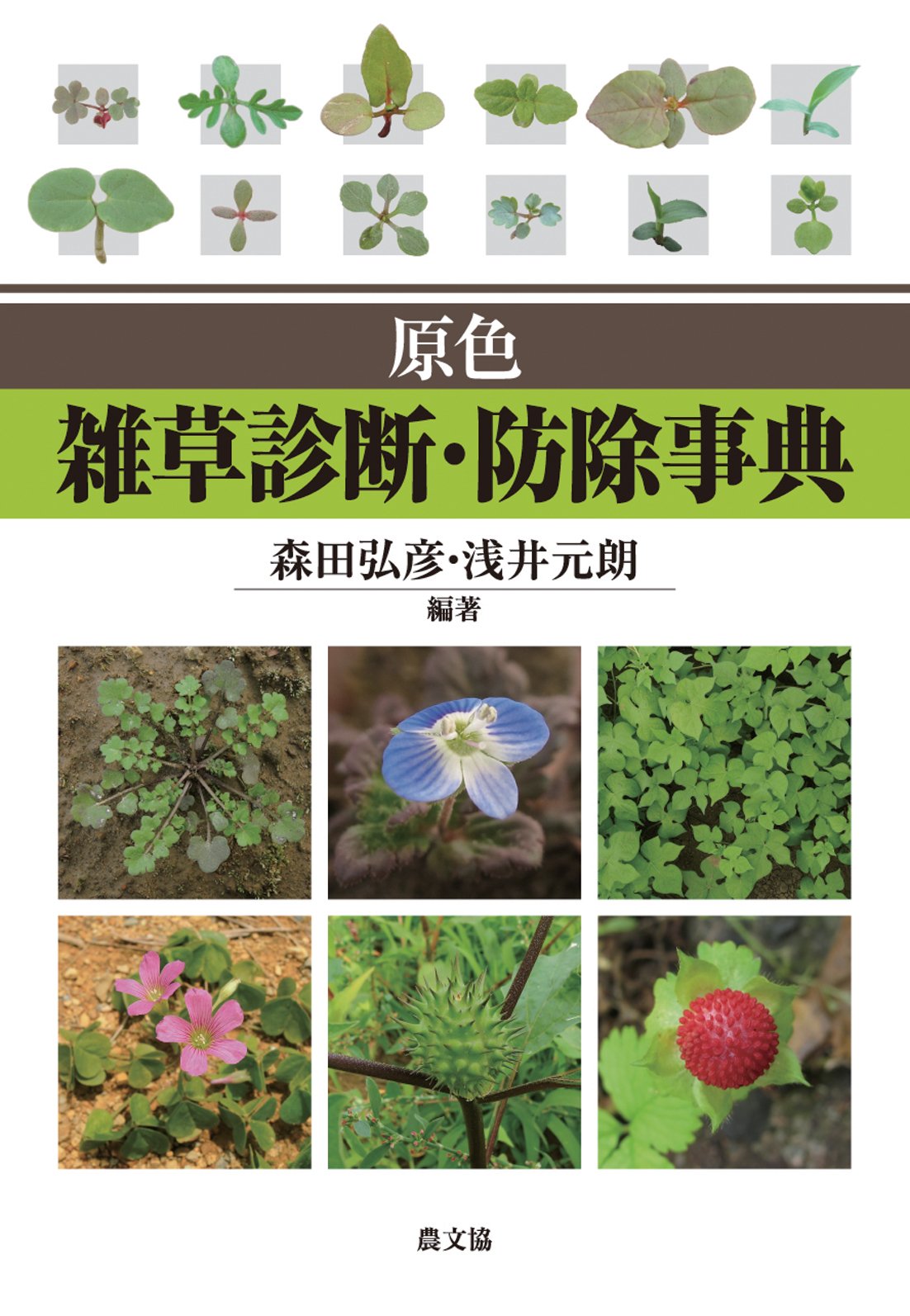 原色 雑草診断・防除事典 森田弘彦 浅井元朗 原色 雑草診断・防除事典 | 森田弘彦 浅井元朗 |本 | 通販 | Amazon
