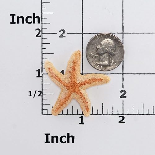 Miniatura 2 de Small Starfish Silicone Mold Food Safe Fondant, Chocolate, Candy, Resin, Polymer Clay, Epoxy.