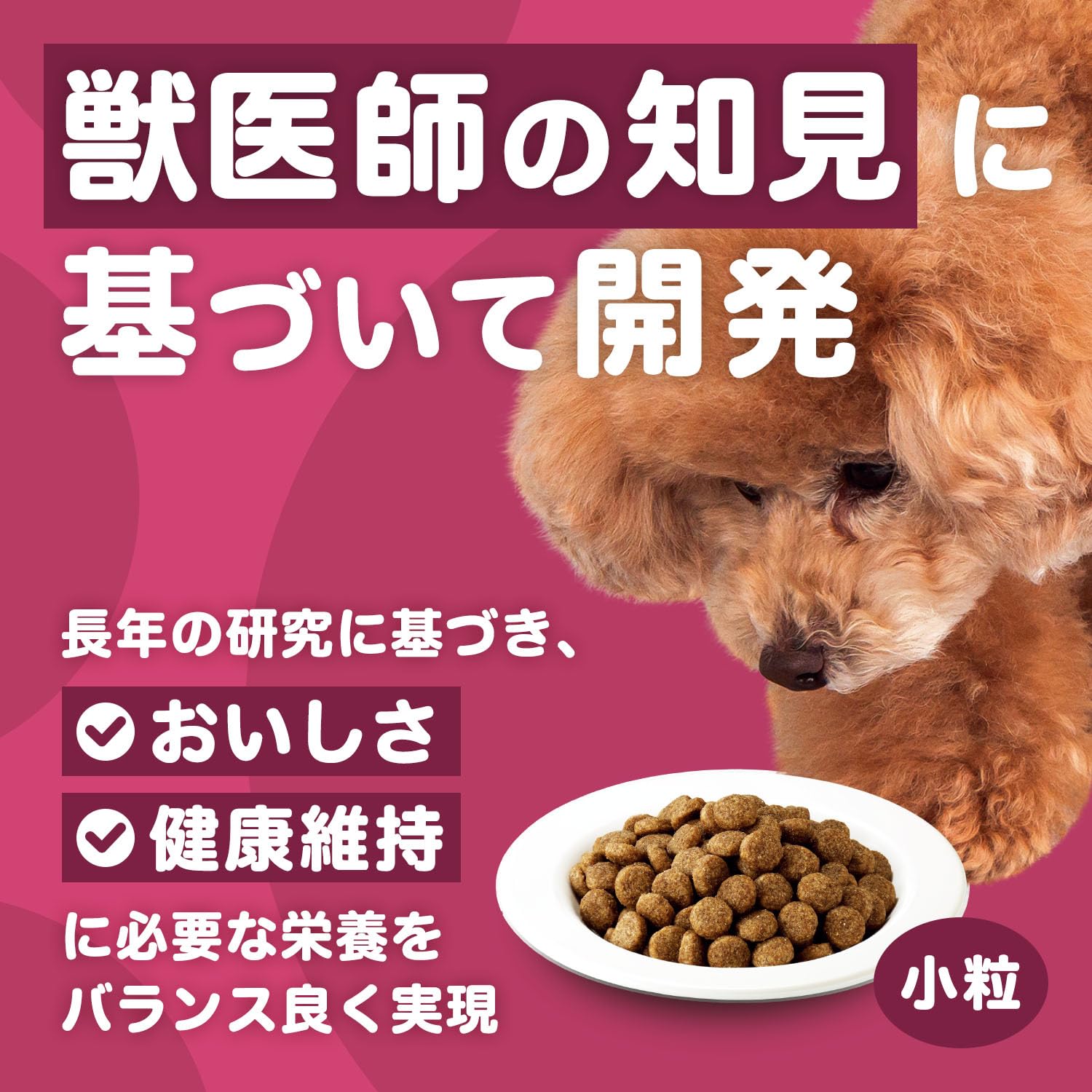 Amazon.co.jp: アイムス シニア犬用 14歳以上用 いつまでも健康維持