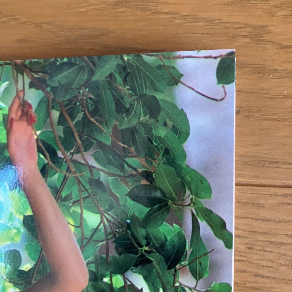 Amazon.co.jp: 浅野ゆう子 写真集 1987（昭和62）年1月発行 Night On