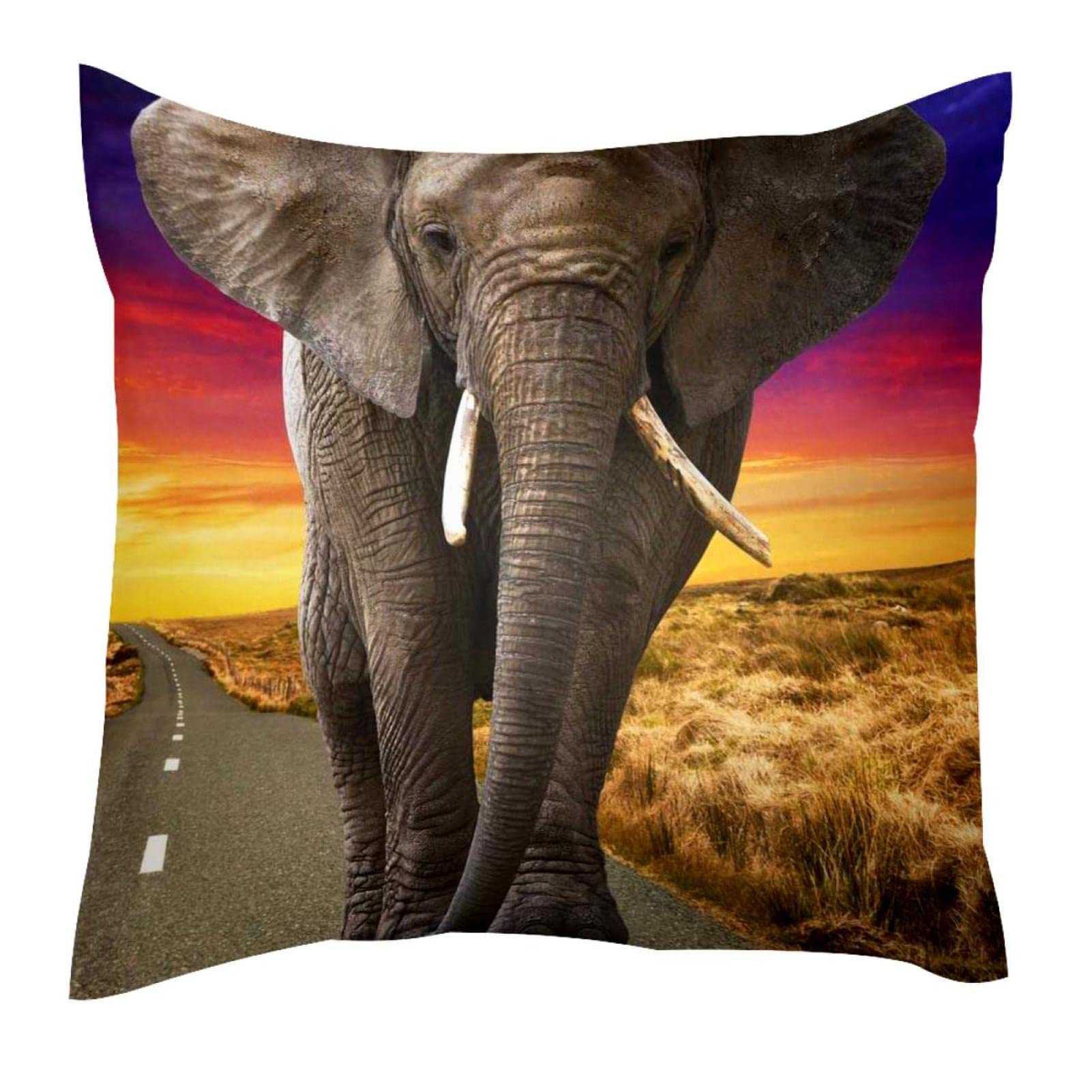 Funda de Almohada con Cierre de Cremallera Fundas de Almohada cuadradas para sofá, tamaño estándar<18x18in>,Animal de Elefante Africano
