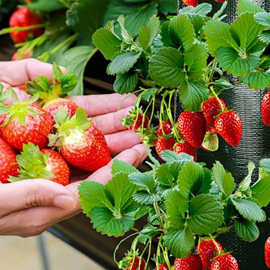 9 sacchetti per piantare fiori, piante da appendere, in tessuto, per fiori, fragole e altro (8 fori, arancione)