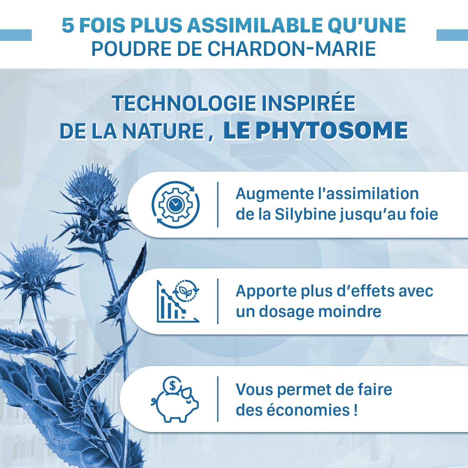 SOLMARIE Chardon-Marie 100% Silybine Haute Pureté - Absorption 5 FOIS supérieure à Silymarine via Etude - Cure détox du foie et digestion - 60 gélules Chardon Marie par le Laboratoire Français SOLAGE