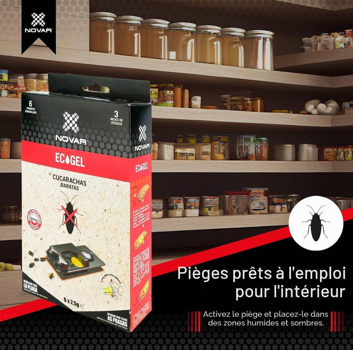 Piège Cafard Mortel avec Bitrex pour Tous Types de Cafards