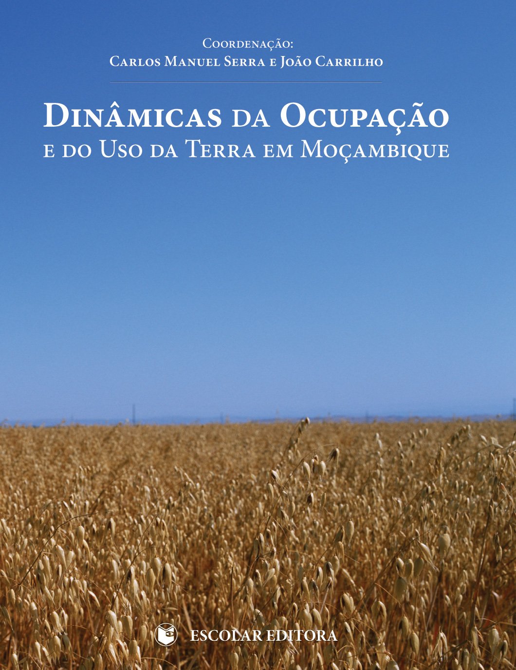 Dinamicas da OcupaÃ‡ao e do Uso da Terra em MoÃ‡ambique