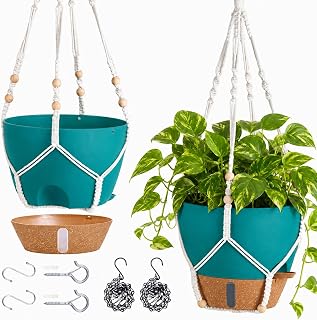 10 Inch Self Watering Hanging Planters for Indoor Plants, 2 Pack, Turquoise