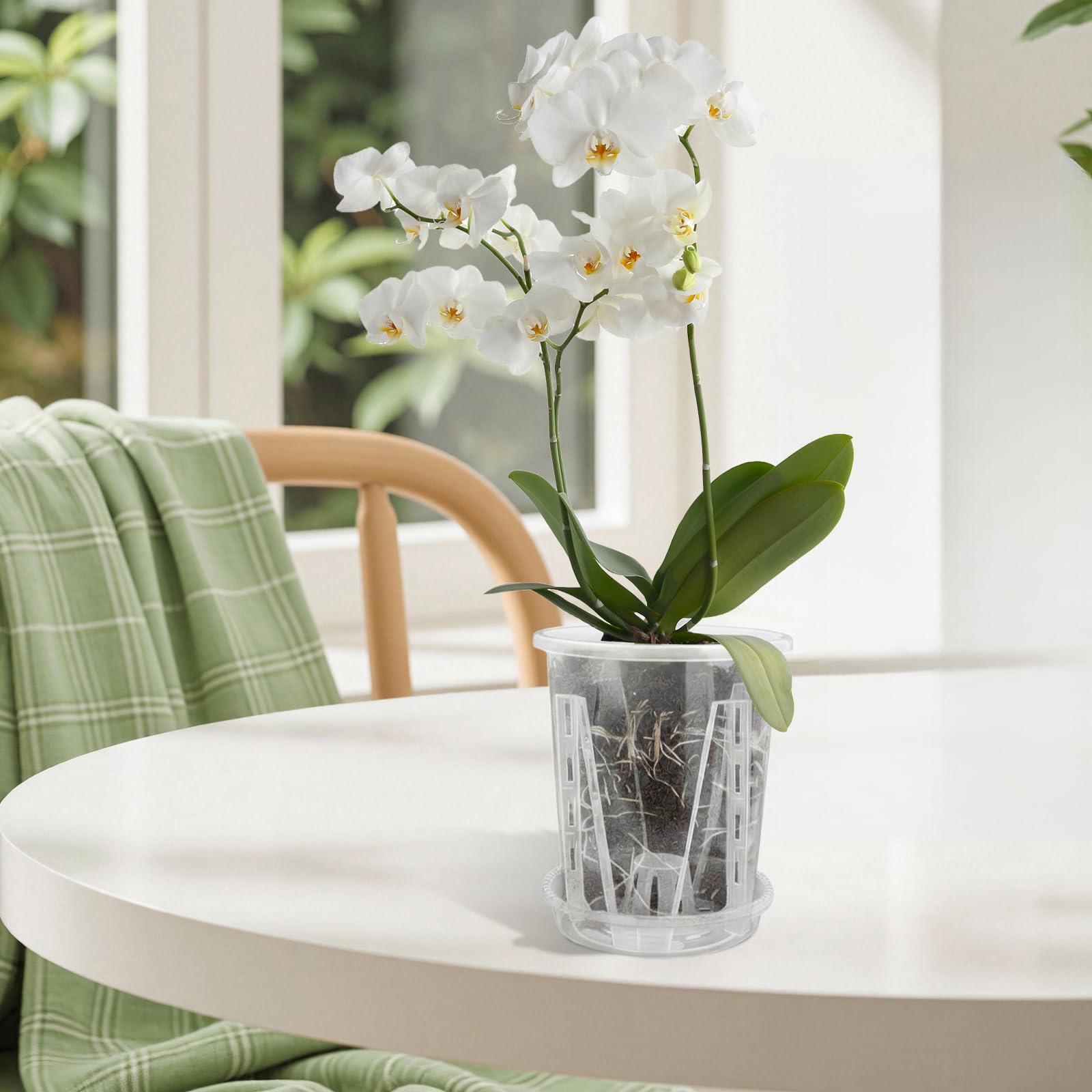 Cable Leader Lot de 3 Pots à orchidées Transparents en Fleur Plastique | pot orchidée avec trous de drainage, perméables à l'air pour plantes et fleurs en intérieur et en extérieur (14 cm + plateau)