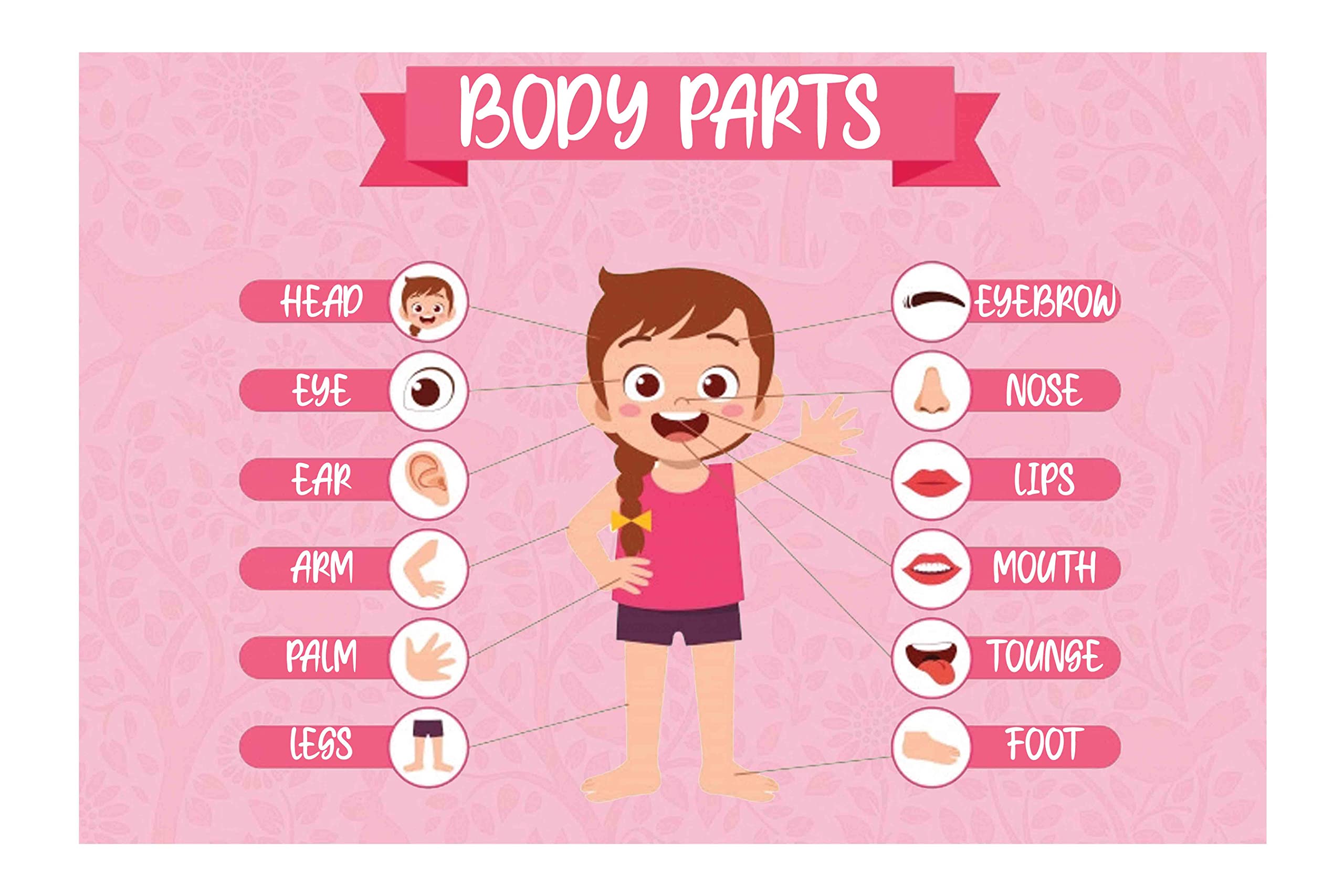 Yellow Alley Decorative Poster| Body Parts|Educational Poster For Toddlers|Kids Learning Poster|Poster for Decoration|Wall Décor|Poster For Science Lab, Kids Room, Classroom|Self Sticky Poster