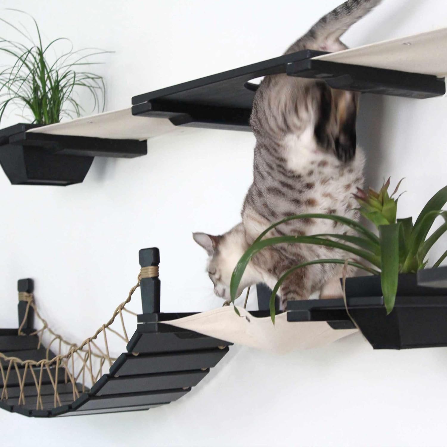 Catastrophic Creations Juggernaut Modern Cat Condo with Cat Bridge, Shelves, Hammocks, Scratching Poles & Planters – Space-Saving Vertical Cat Furniture