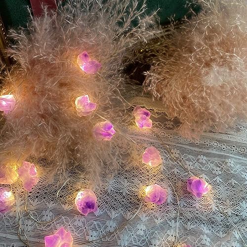 Miniatura 4 de JASHIKA Guirnalda de luces de cristal curativo de amatista y fluorita genuina natural, funciona con pilas con control remoto para adornos de Reiki,