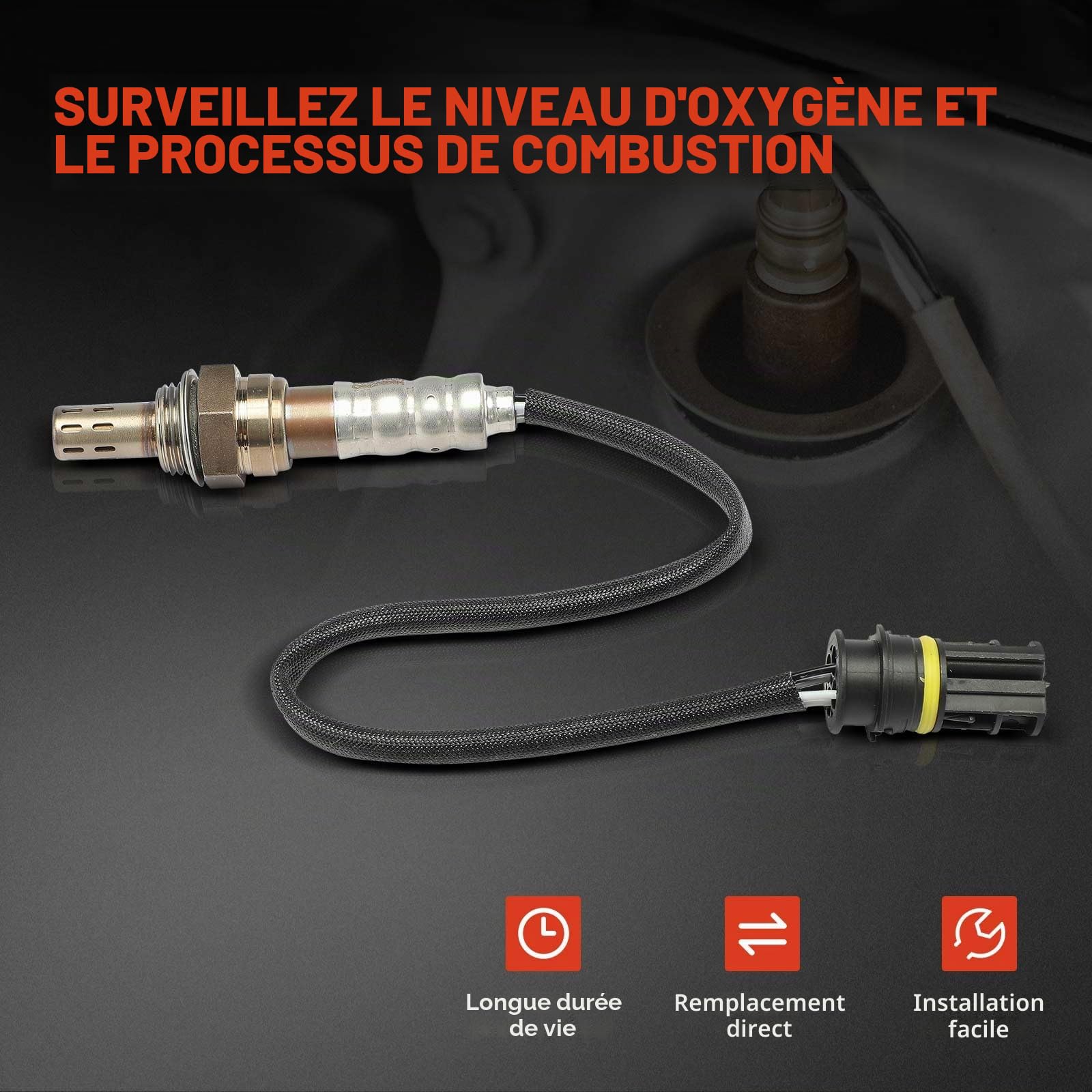 Frankberg Sonde lambda avantaprès catalyseur 11781433940
