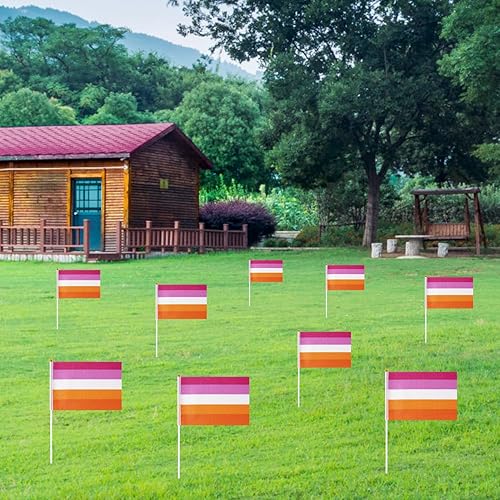 Vista 48 de GentleGirl Paquete de 12 banderas de arco iris del orgullo arcoíris, pequeñas banderas de mano gay LGBT Festival fiesta desfiles decoraciones Bander