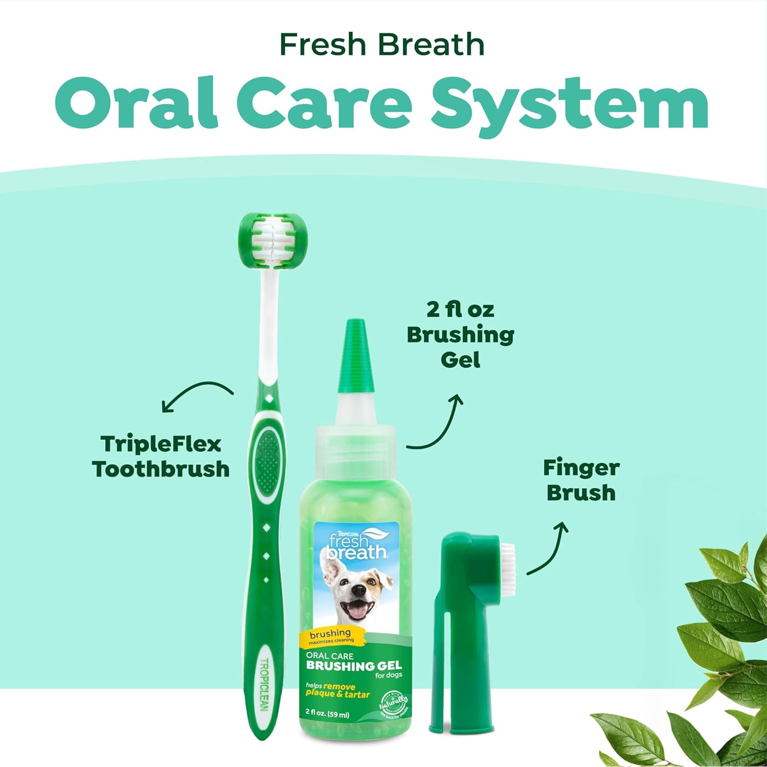TropiClean Pet Oral Care Kit Freshens Breath Togo Ubuy