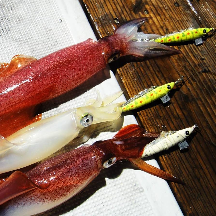 Amazon | キーストン エギ 早福型 エサ巻き M号 全夜光 ホワイト