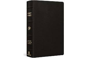 ESV Large Print Personal Size Bible: An Invaluable Companion for Spiritual Growth