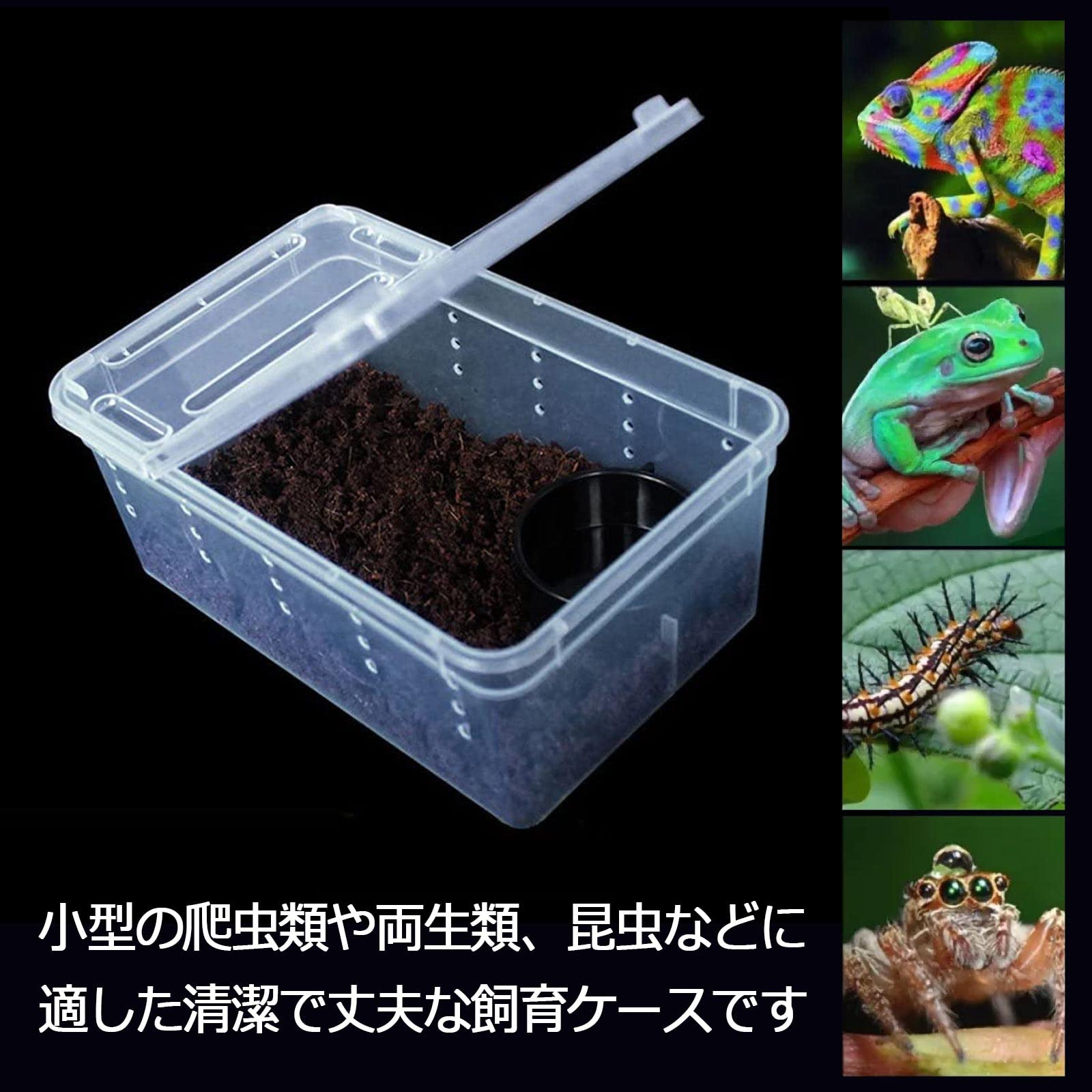 Amazon | シンプルチョコ 爬虫類飼育ケース ケージ 透明 蓋付き