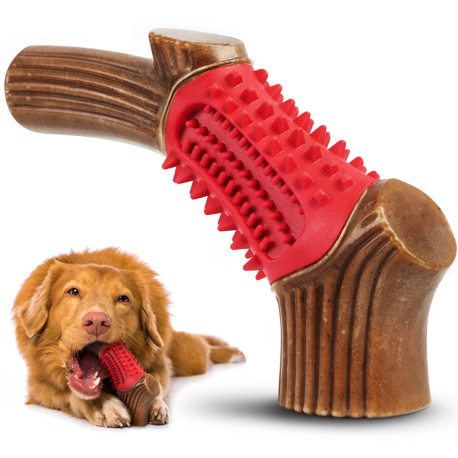 Why Does My Puppy Only Bite Me