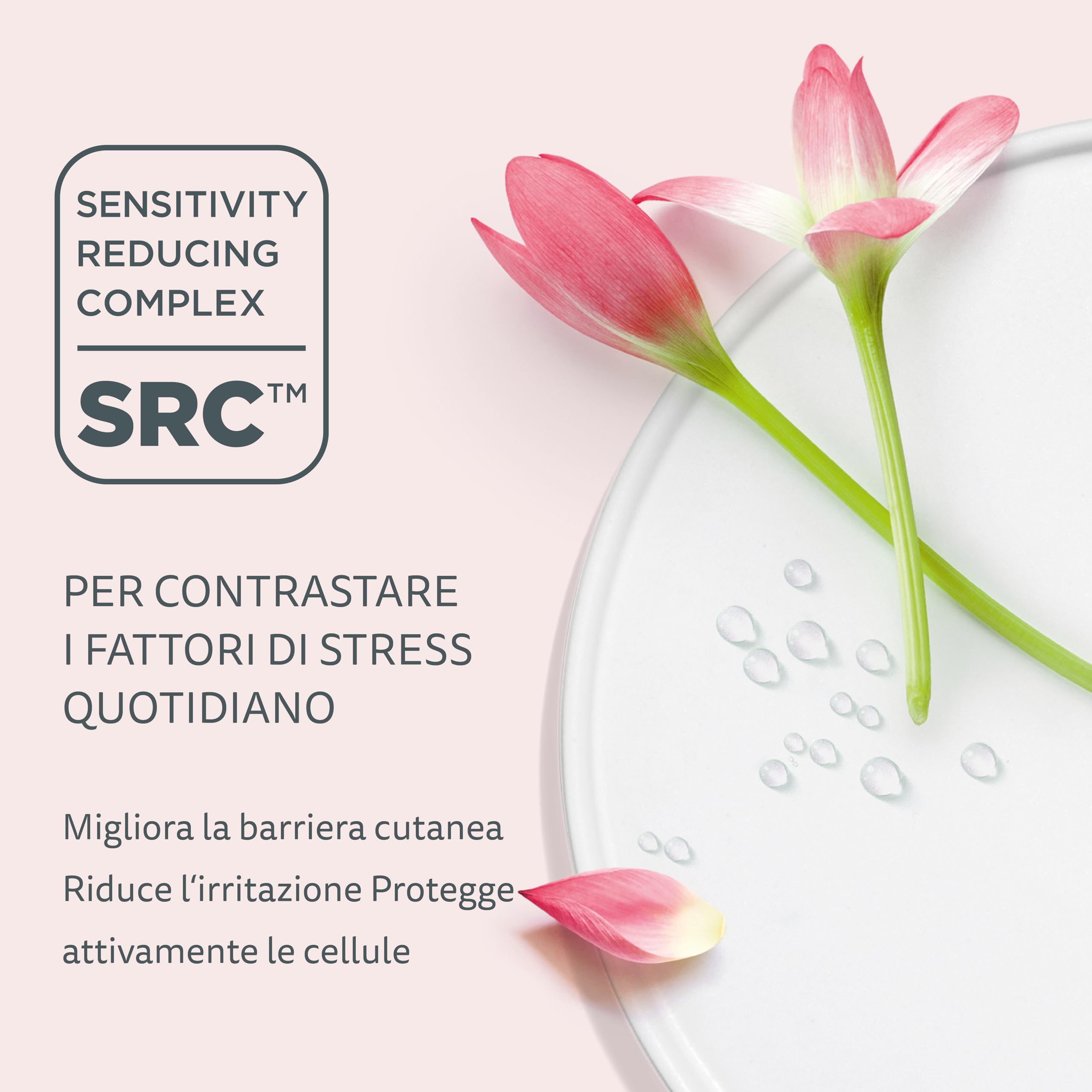 Declaré Collagen & Elastin Booster 50 ml - Siero al collagene e all’elastina - Per una pelle tonica, soda e sana - Con acido ialuronico, biotina, vitamina H e vitamina E - Per tutti i tipi di pelle
