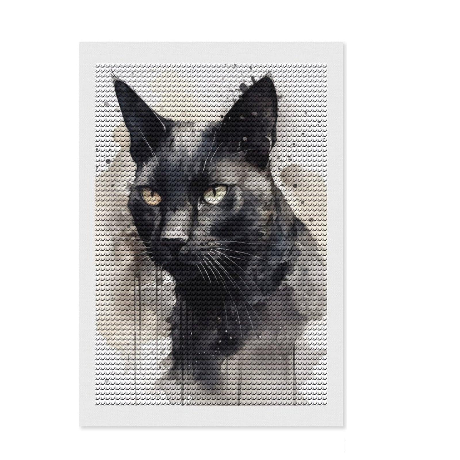 Junmoney Watercolor Black Cat 5D Diamond Painting Kit 8"x12", Round Gems, Living Room Decor, Decorative Artwork, Vintage Style Decor