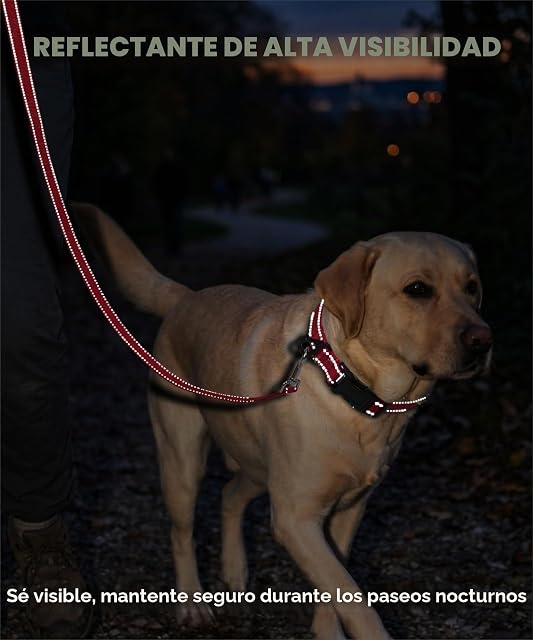 Foto 3 de 8 de TagME Collar Perro Ajustable,Collar Nylon Reflectante,para Caminar Correr Entrenamiento,para Perros…