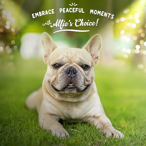 Miniatura 7 de ALFIE'S CHOICE Masticables calmantes para perros  Alivio de la ansiedad para perros y apoyo de separación  Masticables calmantes de cáñamo para