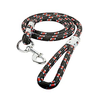 PetCeptual Stylish Heavy Nylon Rope Leash for Dogs with Hook for Medium & Large Dogs (Colour May Vary) (15 mm)