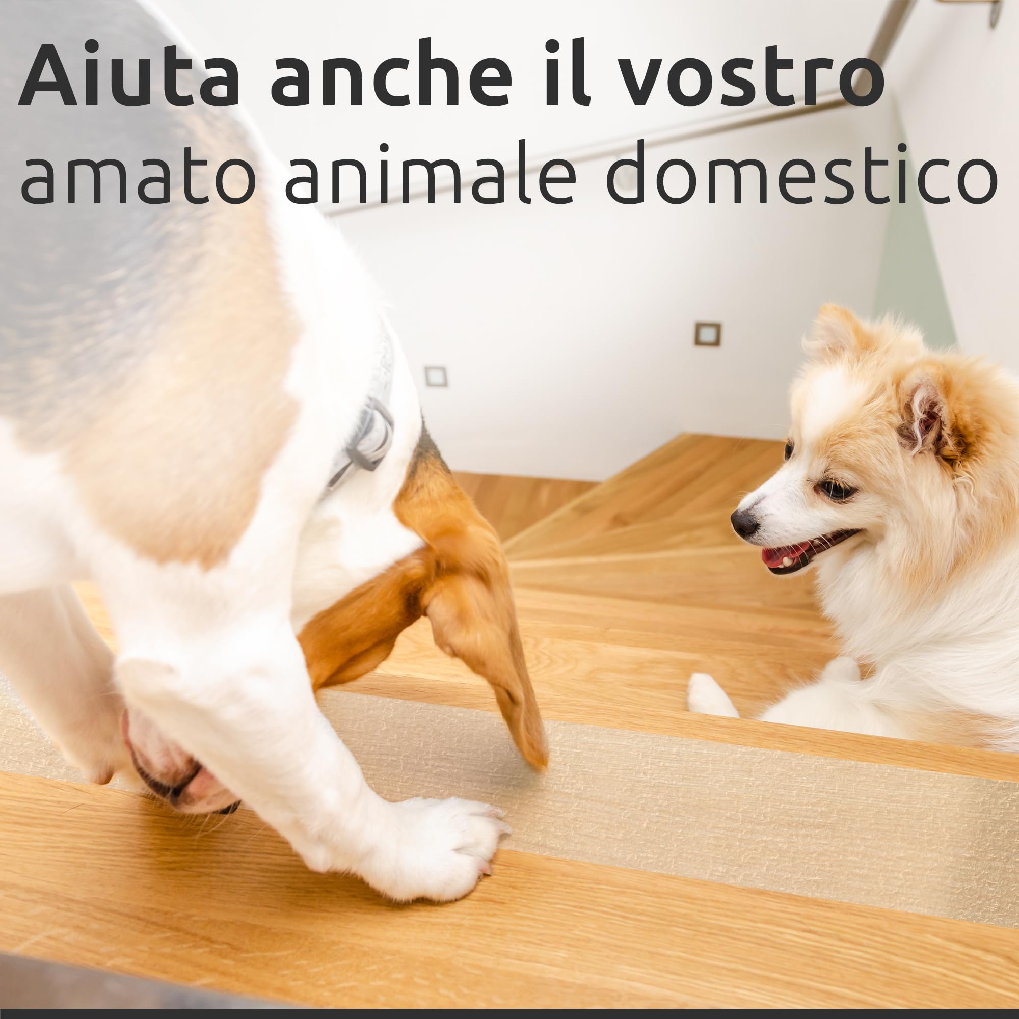 ECENCE 16 Adesivi per gradini antiscivolo Tappeti per scale autoadesivi per gradini strisce antiscivolo per scale interne trasparenti Contro lo scivolamento - 60x10cm
