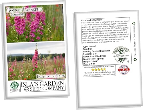 Miniatura 3 de Larkspur Rocket - Semillas de flores de carmín (Delphinium ajacis) – Más de 250 semillas sin OMG y reliquias de Isla's Garden Seeds, flores altas y