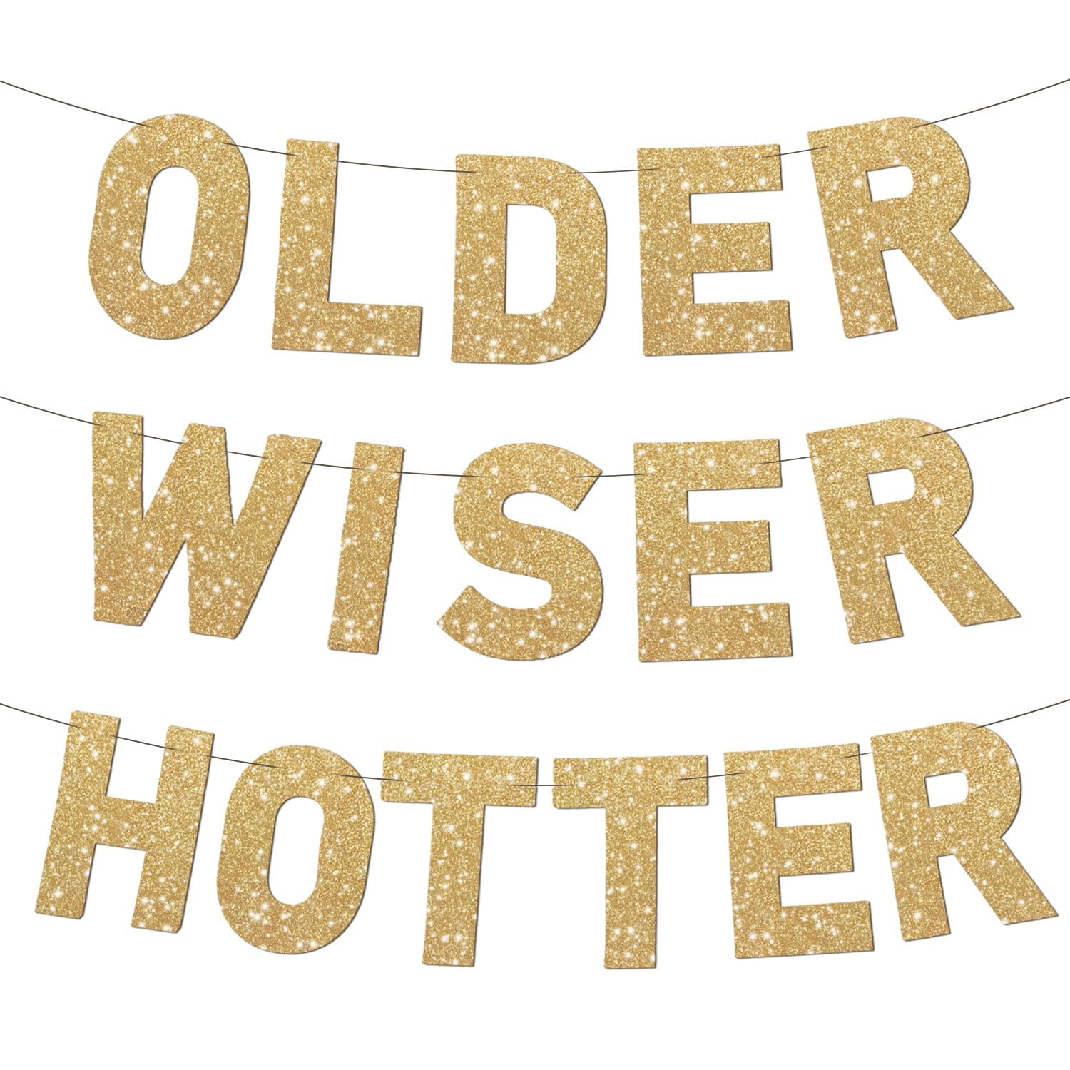 Pre-Strung Older Wiser Hotter Banner Birthday Decorations, Champagne Gold Glitter Letter Garland, Adult Birthday Retirement Decorations Sign for Men