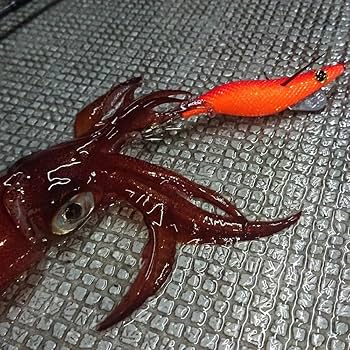 Amazon | キーストン モンローエギ・夜焚きチューン 2.5号