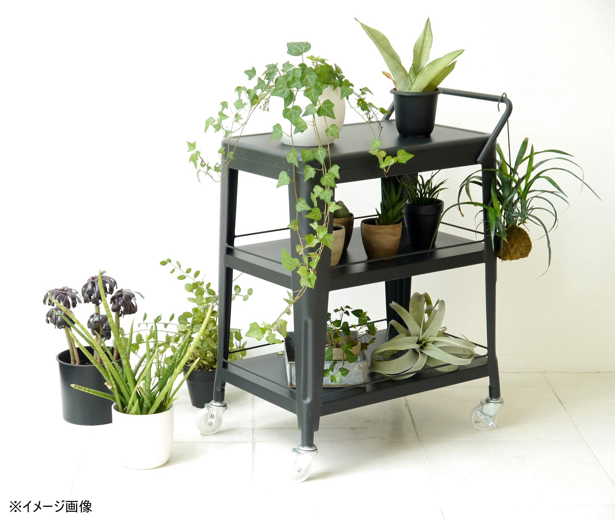 Amazon.co.jp: 大川家具 GART ワゴン 1601 (素材:スチール