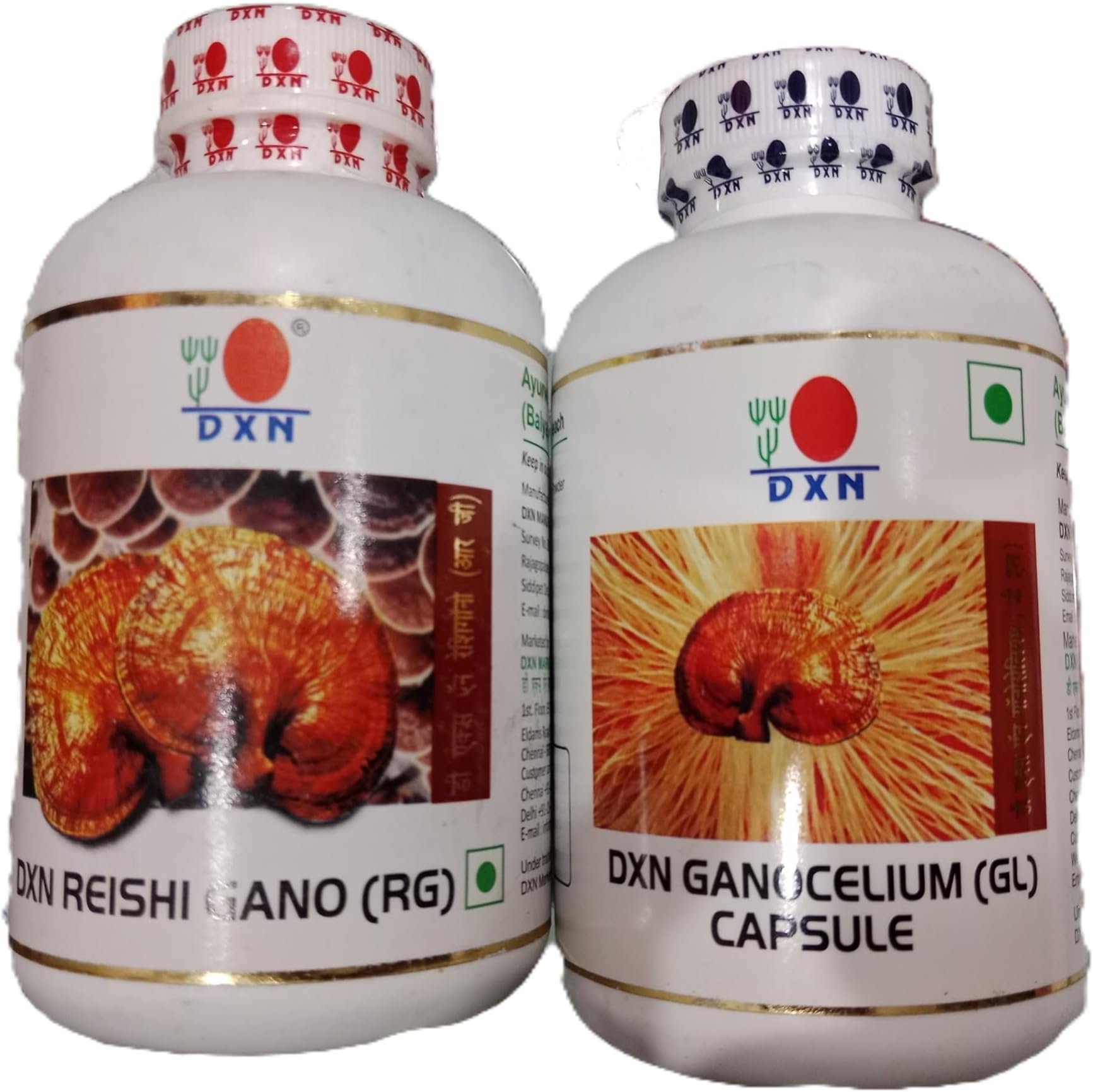 DXN Reishi Gano And Ganocelium Capsules - Rg & Gl (360 + 360 Capsules) Pack of 1