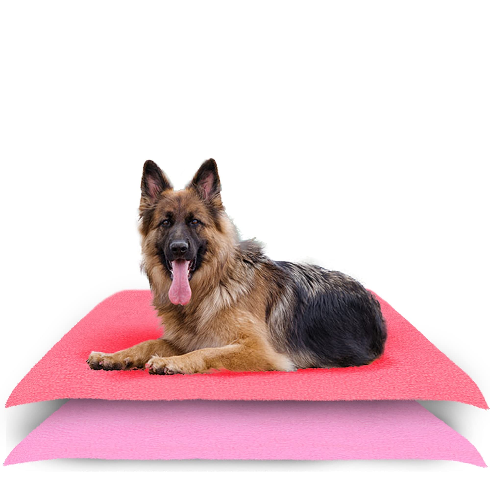 AMORITE Waterproof Reusable Washable Pee Pads & Hygenic Pet Dry Sheet (Large Combo, Salman Rose + Pink)