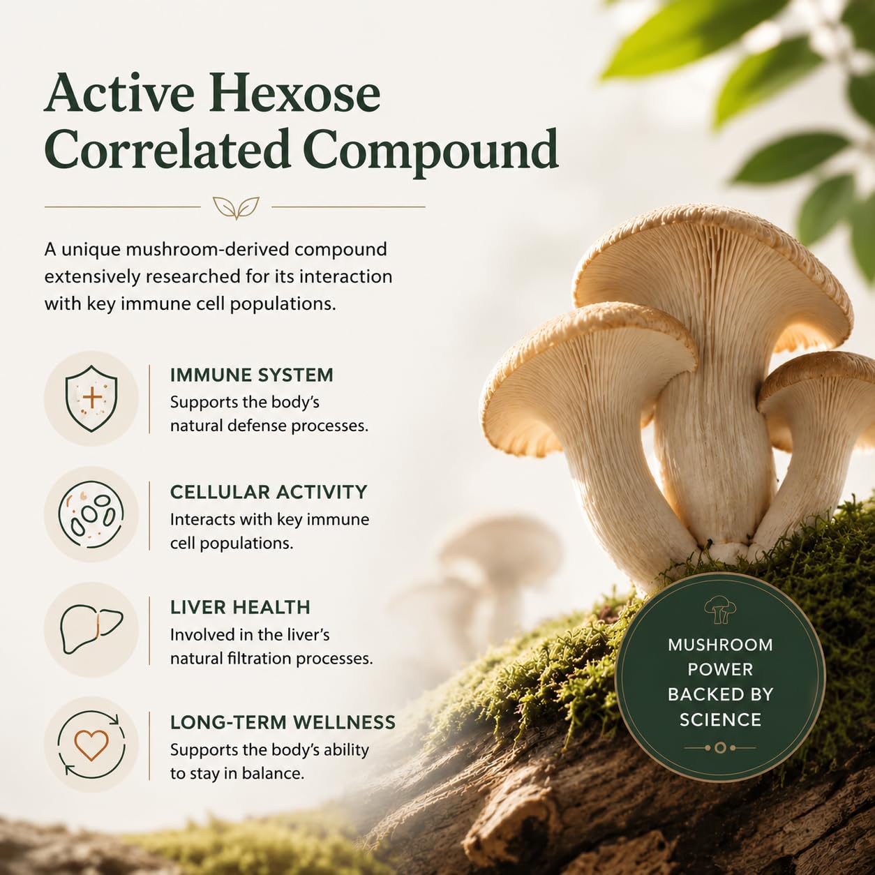 Active Hexose Correlated Compound - Soutien Immunitaire, Fonction Hépatique, Activité des Cellules T et Cellules Tueuses Naturelles, 60 Unité (Lot de 2)