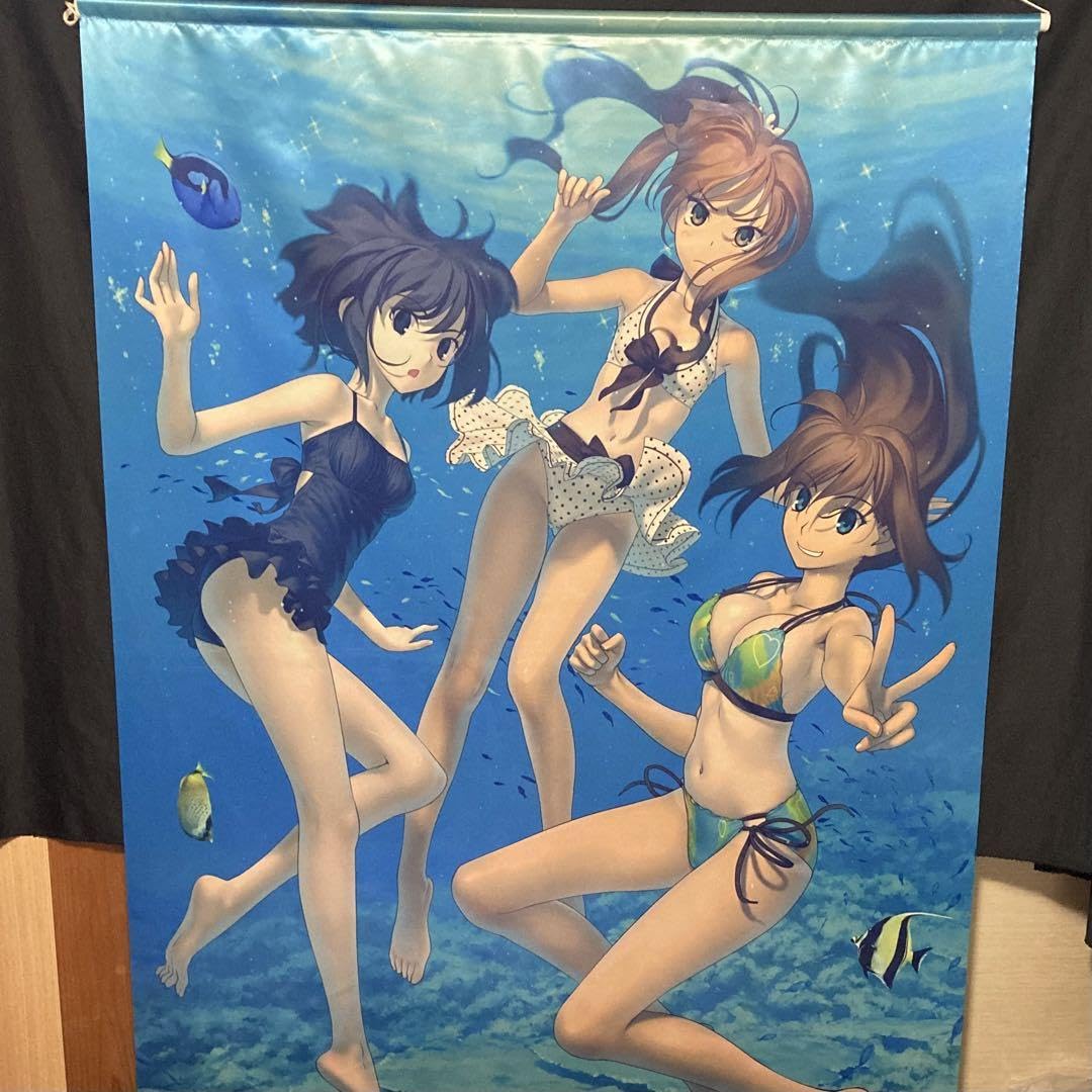 Amazon.co.jp: 魔法使いの夜 B0サイズ タペストリー : おもちゃ