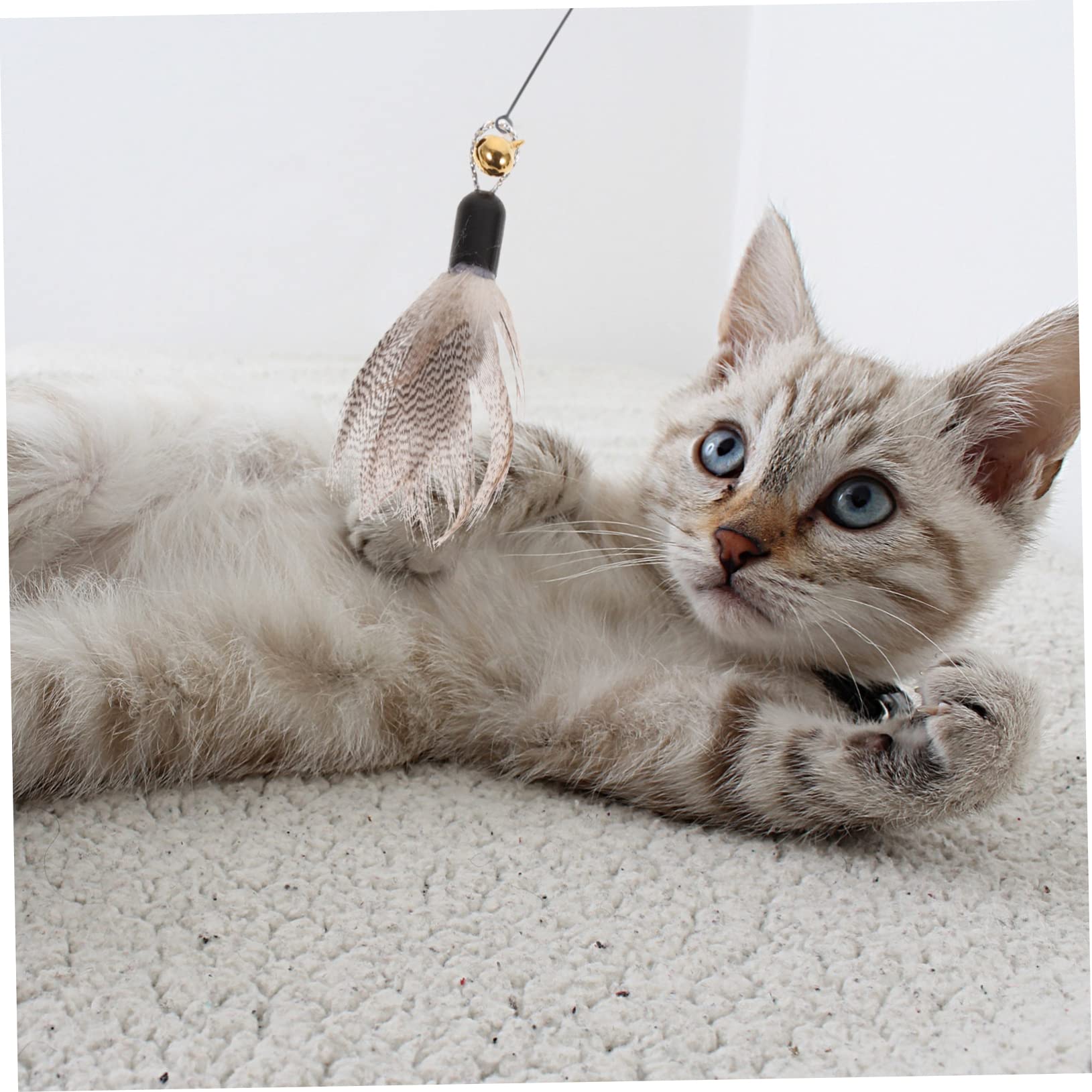 VANZACK 30stücke Teiliges Interaktive Katzenspielzeuge Mit Federn Und Schmetterlingen Ersatzköpfe Für Katzenangel Fördert Spiel Und Für Katzen Und Kätzchen