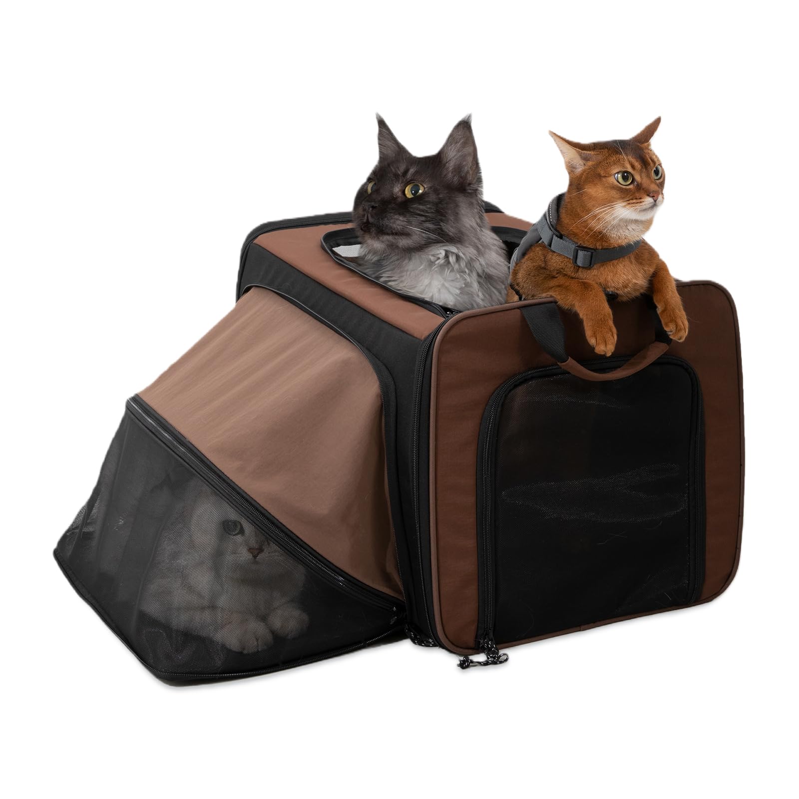Bolsa de transporte expandible para mascotas para gatos y perros pequeños de hasta 10 kg, transportador de viaje de un solo hombro con malla transpirable, asas y bolsillos de almacenamiento