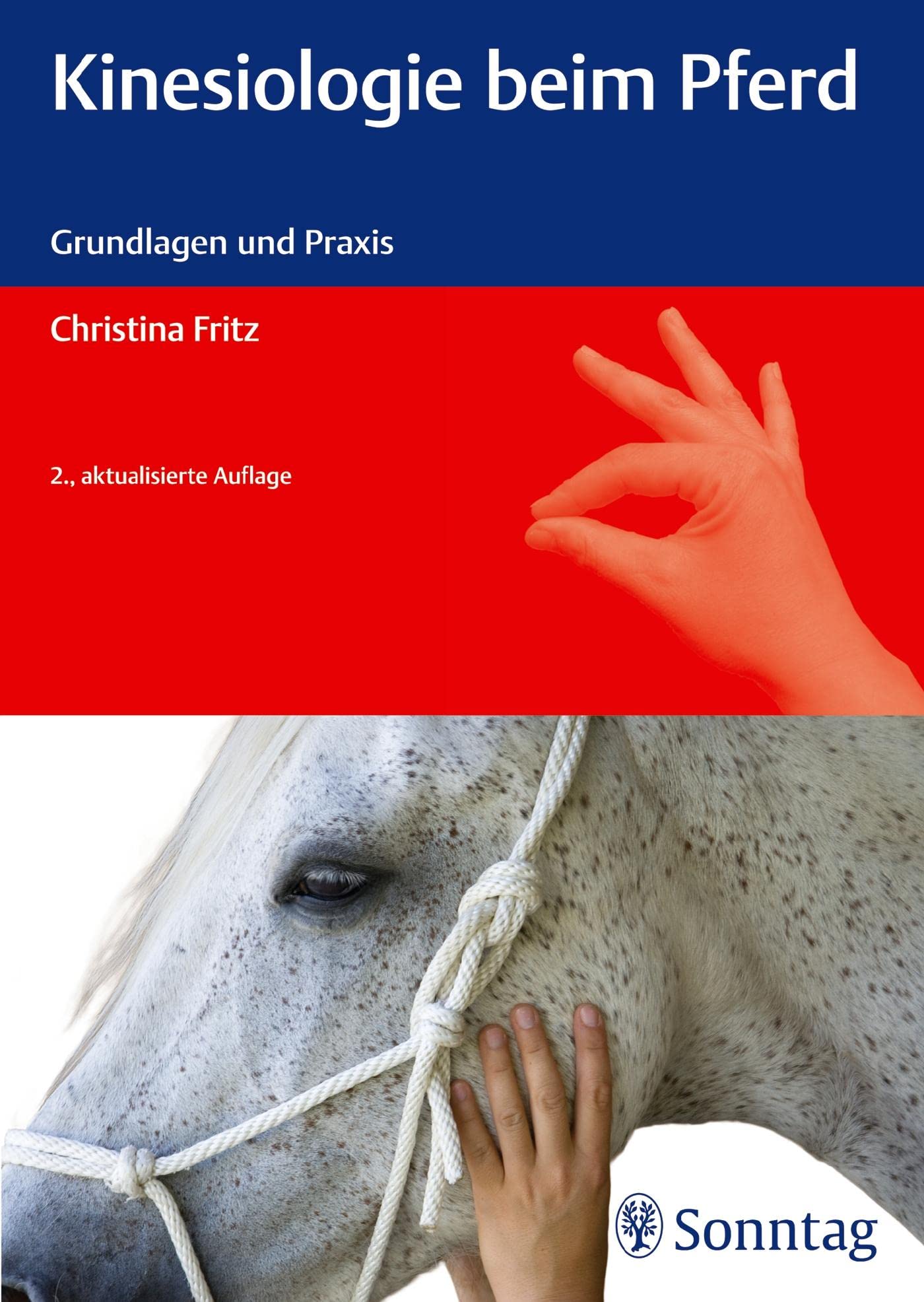 Kinesiologie beim Pferd: Grundlagen und Praxis
