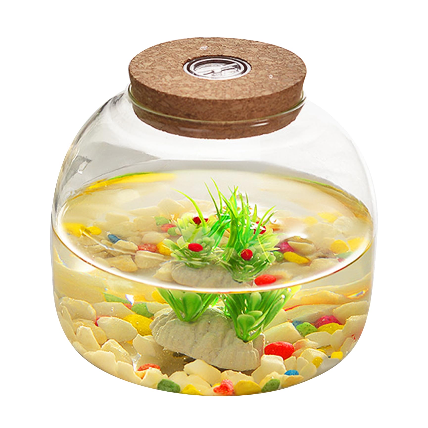 Terrario de Vidrio de 1600 ml con Tapa de Corcho, Gran Frasco de Apertura para Mini suculentas, exhibiciones Florales y Colecciones de artesanía, terrario de Vidrio
