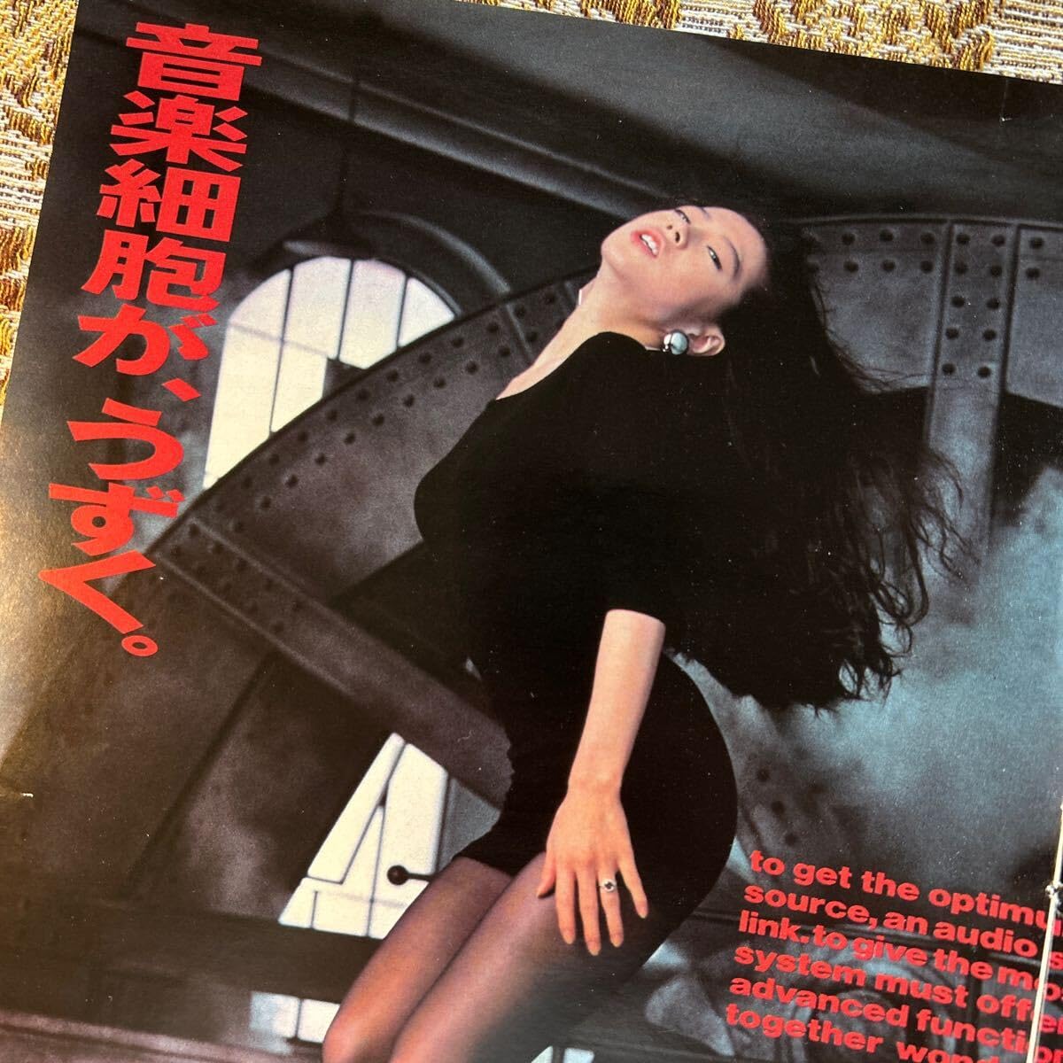 Amazon.co.jp: 極 中森明菜高中正義 広告 切り抜き 4P 当時物