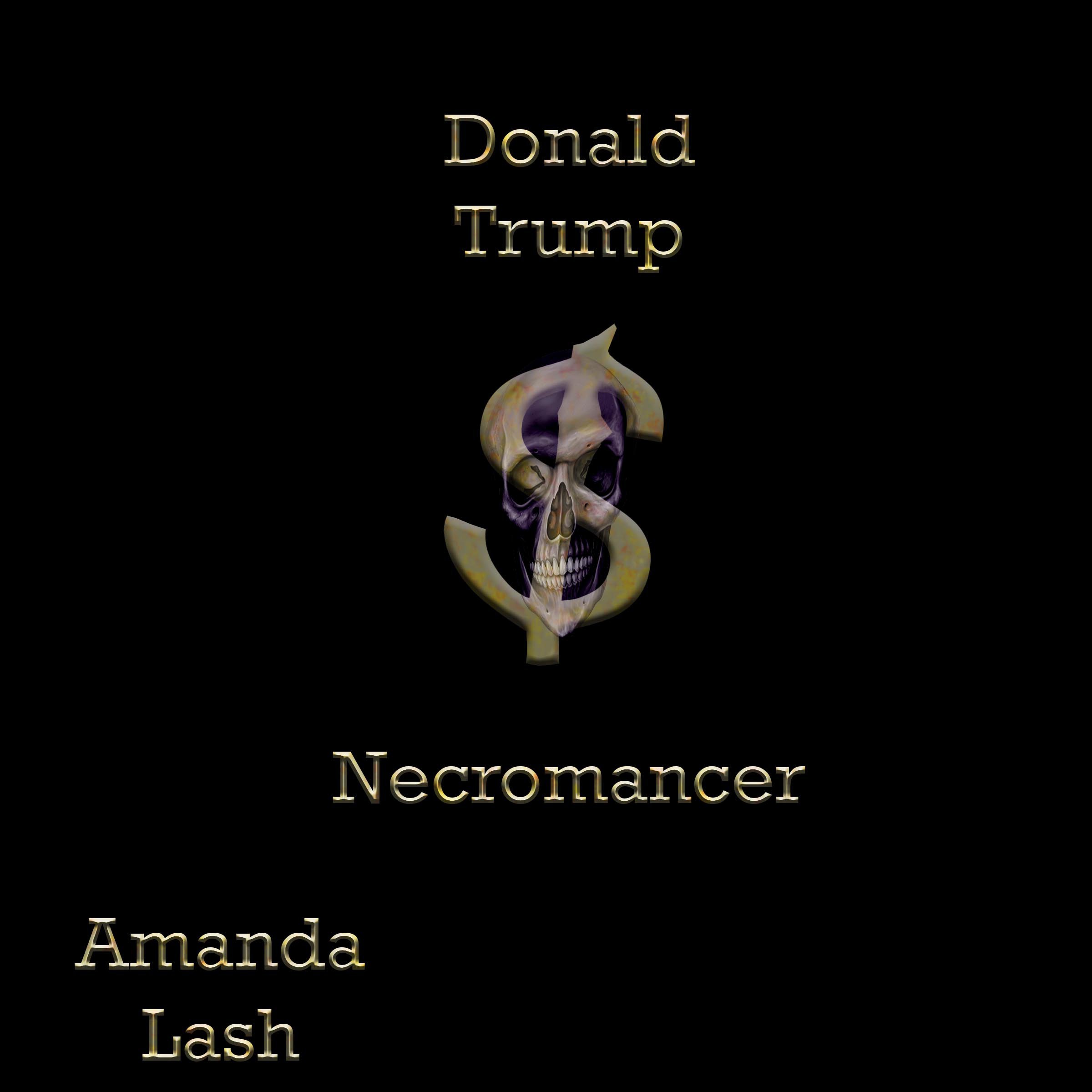 Cover art for Donald Trump: Necromancer