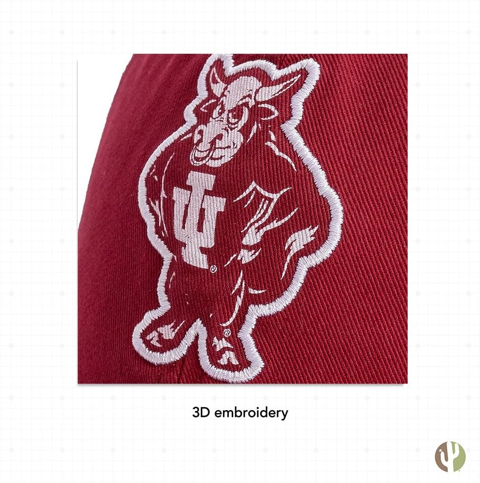 Desert Cactus Indiana University Baseball Hat Hoosiers Bloomington Brimmed Embroidered Hats Cap Adjustable Cloth Strap Adult (Style R1 Vintage) Red - Image 5