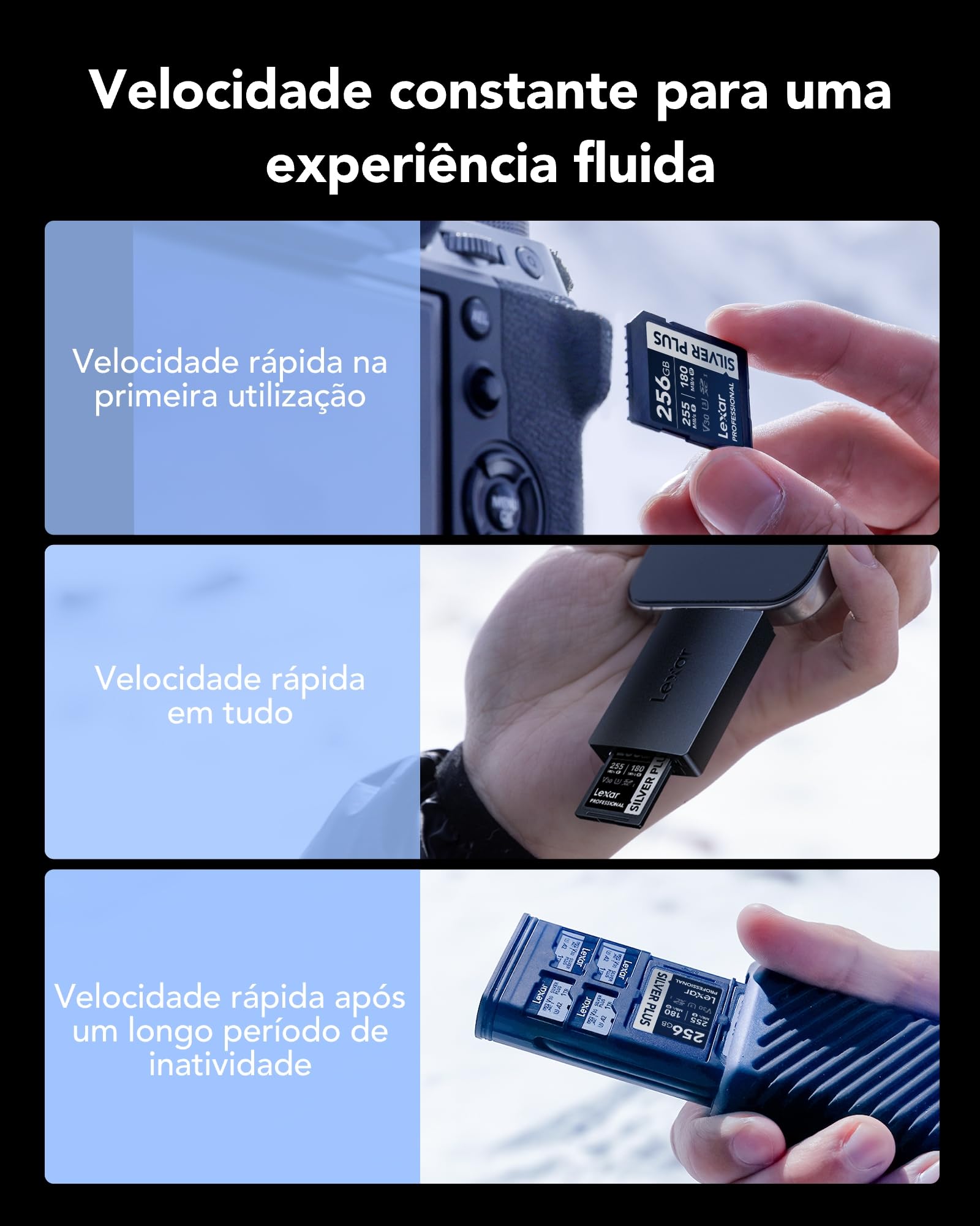 Lexar Scheda di memoria professionale Silver Plus SDXC UHS-I da 256 GB