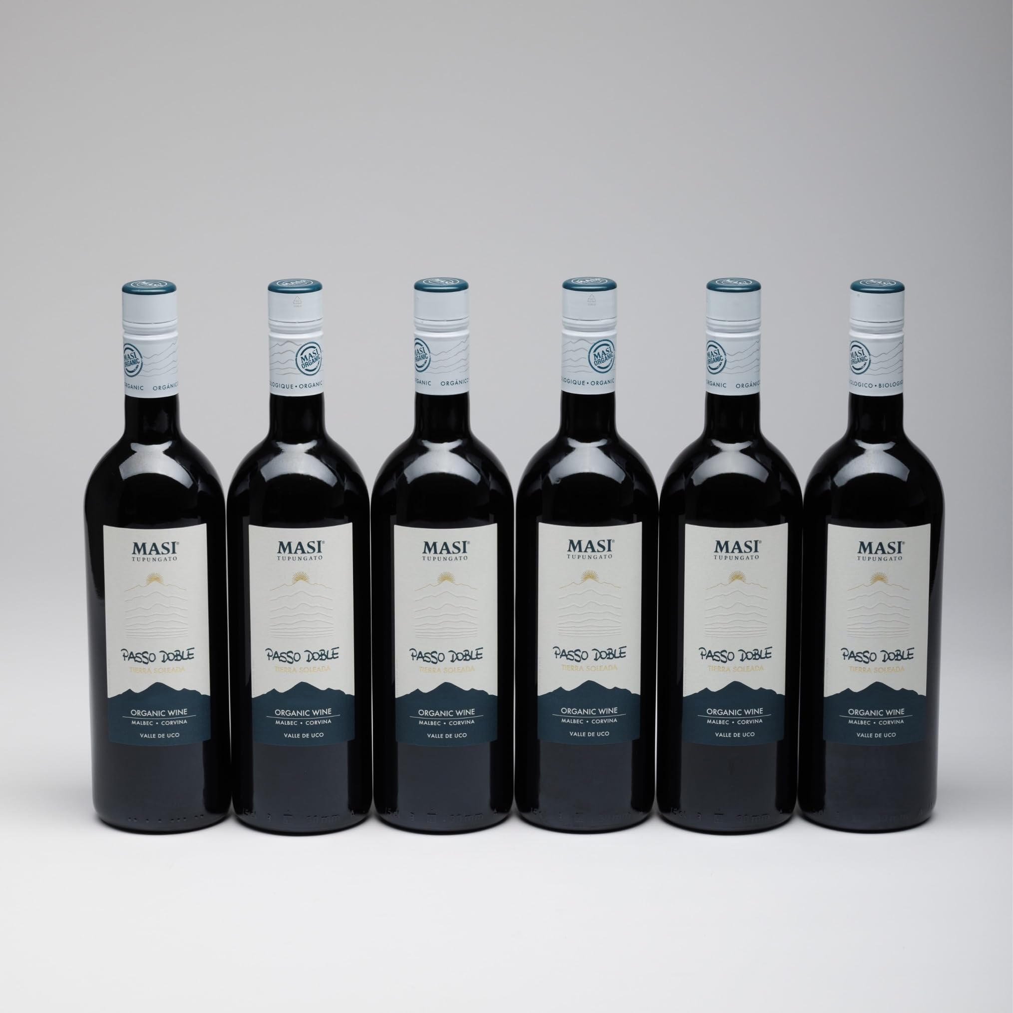 MASI Tupungato "PASSO DOBLE" 2023 | Vino Rosso di Argentina BIO | 6x750 ml | Appassimento Expertise | Confezione 6 bottiglie
