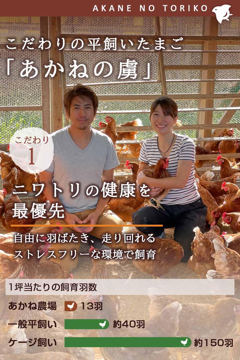 平飼い卵80個2/19常温発送あんず ばあちゃんの昔たまご 20個入り｜平飼い卵｜割れ補償あり | 素ヱコ農園
