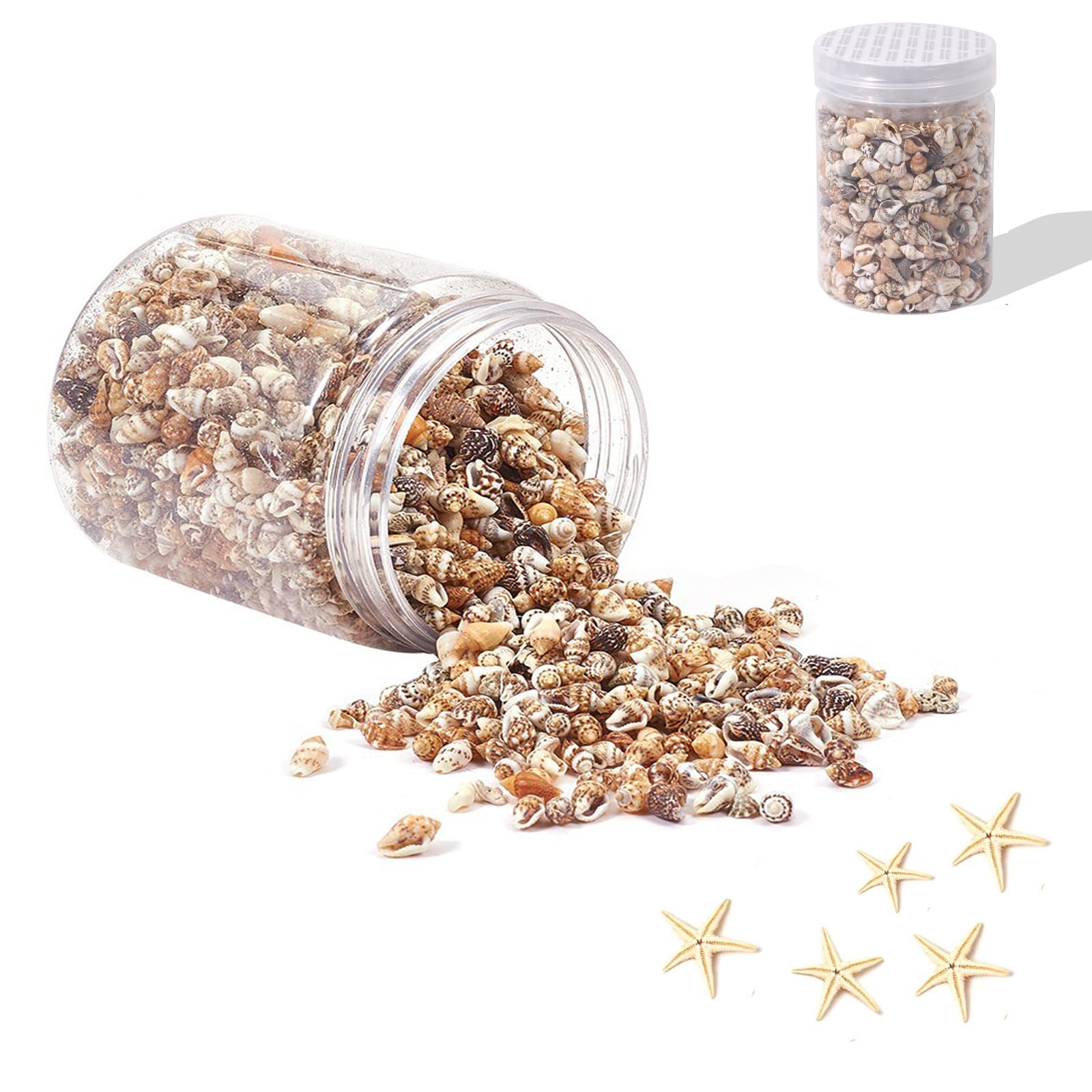 1000+ Tiny Sea Shells Small Natural Starfish Mixed Ocean Beach Spiral Seashells for for DIY Crafts,Home Decorations,Wedding Decor,Candle Making,Beach Theme Party and Vase Filler