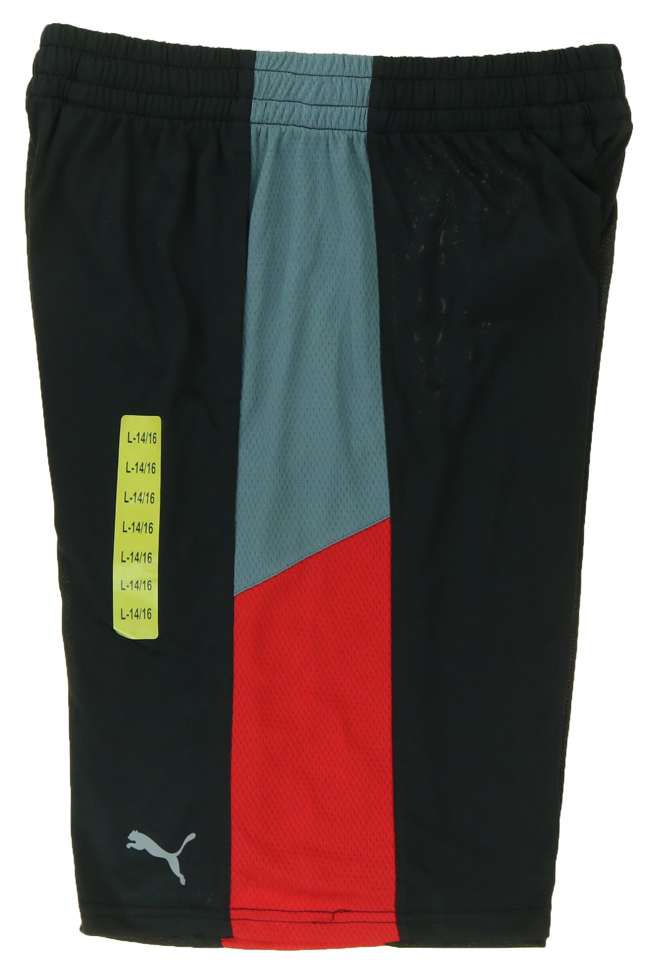 PUMA Youth Boys Lifestyle Athletic Short (Large 14/16, Black / Red)