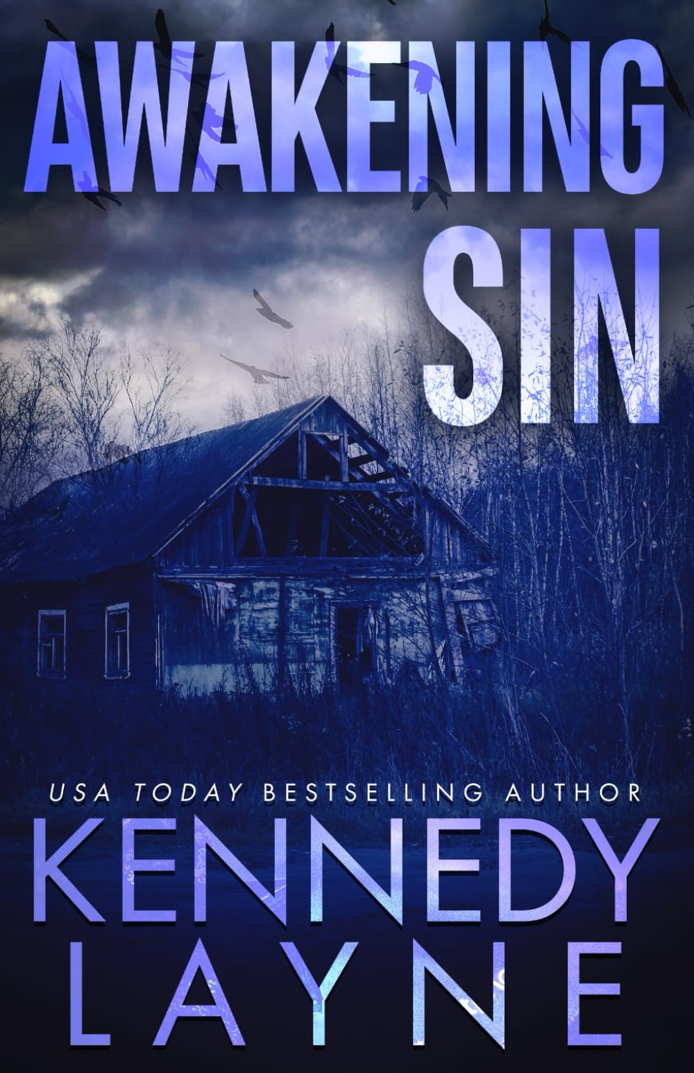 Awakening Sin: 3 (Touch of Evil)